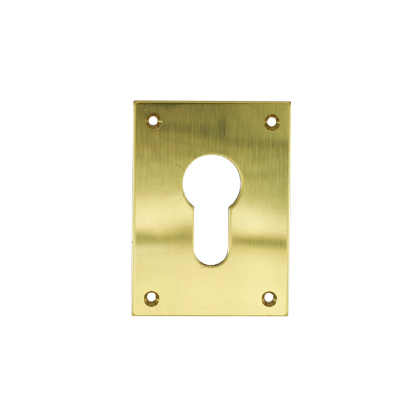 REPAIR ESCUTCHEON