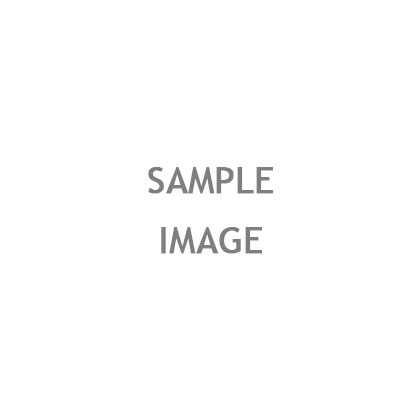STAINLESS STEEL FLAG HINGE